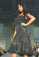 BGate2006_2