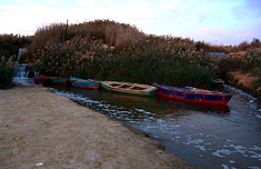    Wadi Elraiyan 