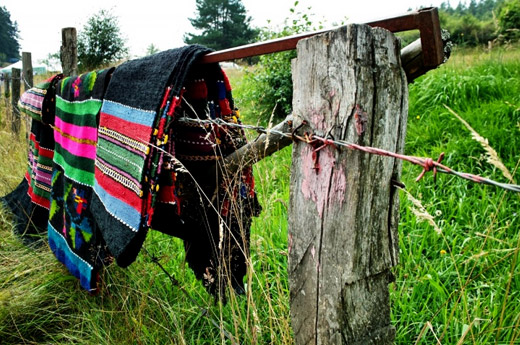 August 2015: National Festival of the Bulgarian Folklore, Koprivshtitsa