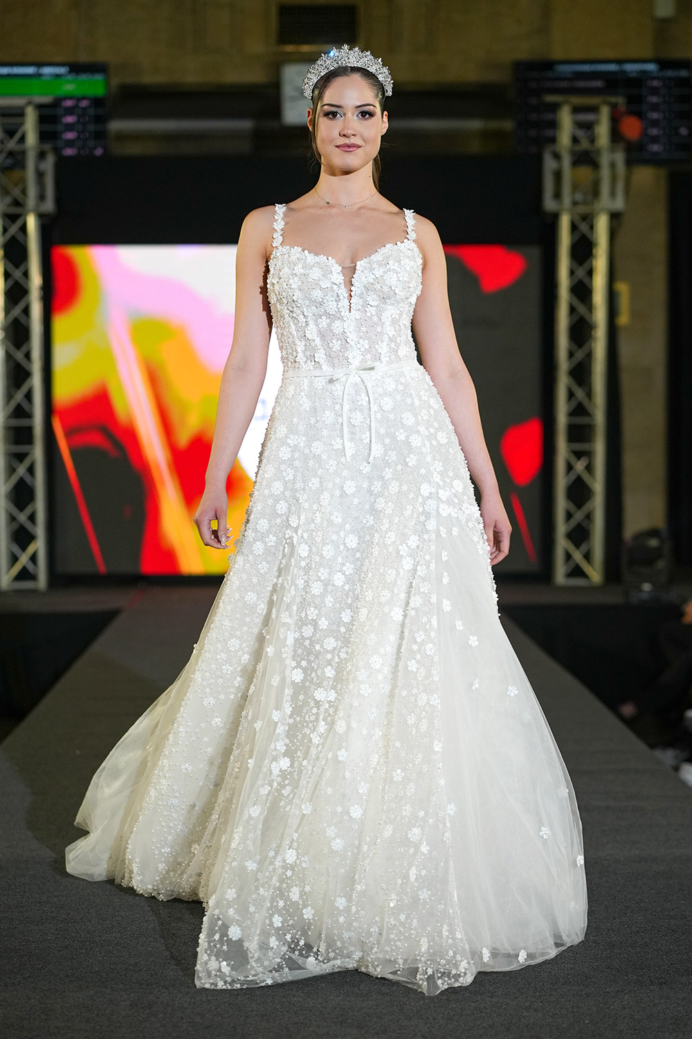 TASQUIRA - ��������� �� ������, ����� ������ � ����������