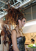  haute couture      Stephan  