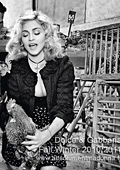 D&G     