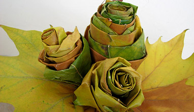 How to make beautiful roses from autumn leaves